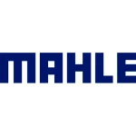 logo-mahle-tsi